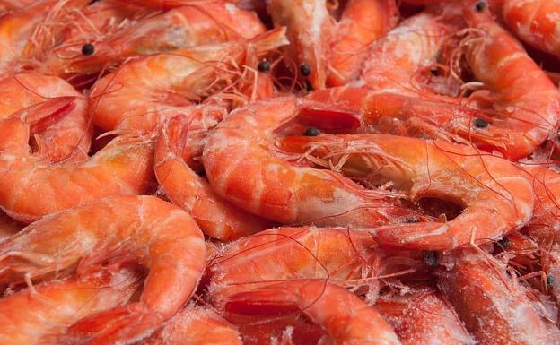 Como Saber Si Unas Gambas Congeladas Están Malas